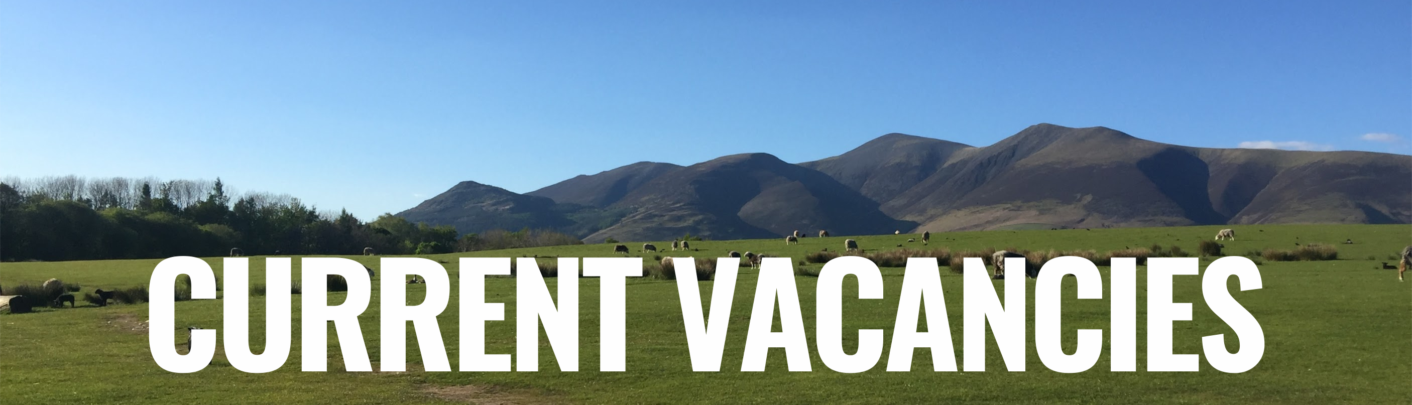 This image shows a blue sky and green grass with hills in the background. In white text are the words 'current vacancies'